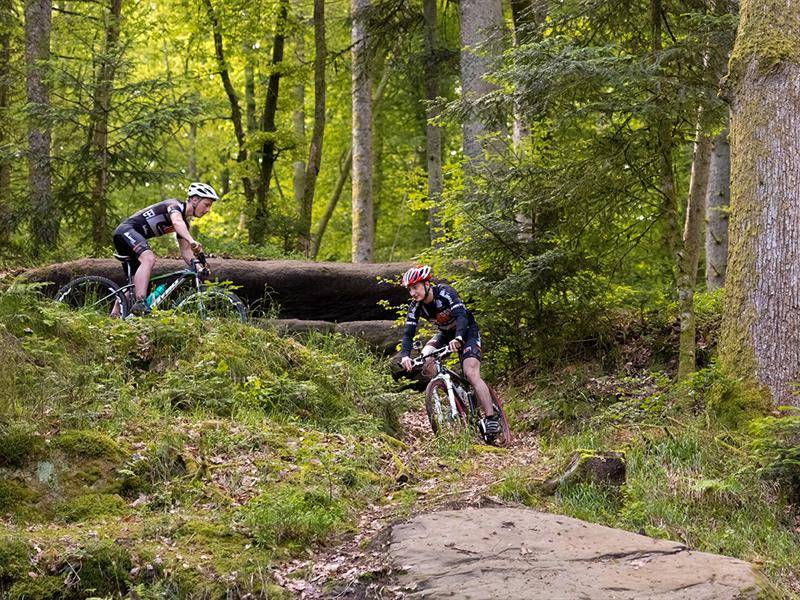 Randonnée : Circuit VTT n°94 Bertramenil