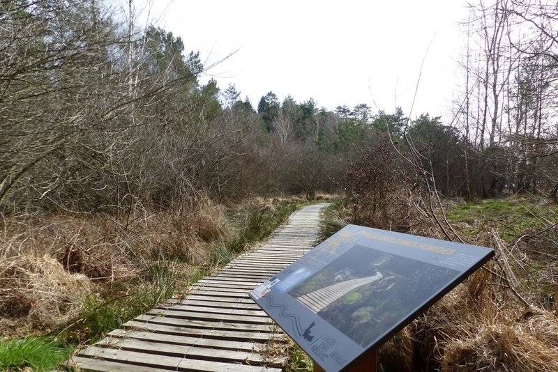Randonnée : Promenons-nous sur le sentier de l'étang
