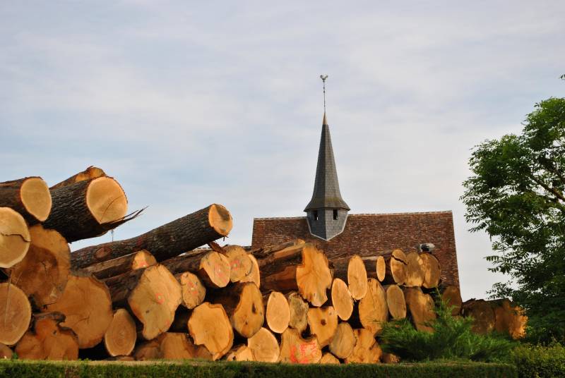 Randonnée : Bois et tonneaux