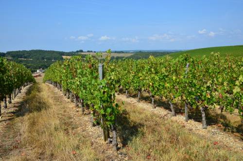 Randonnée : Bruch, points de vue sur la vallée de la Garonne
