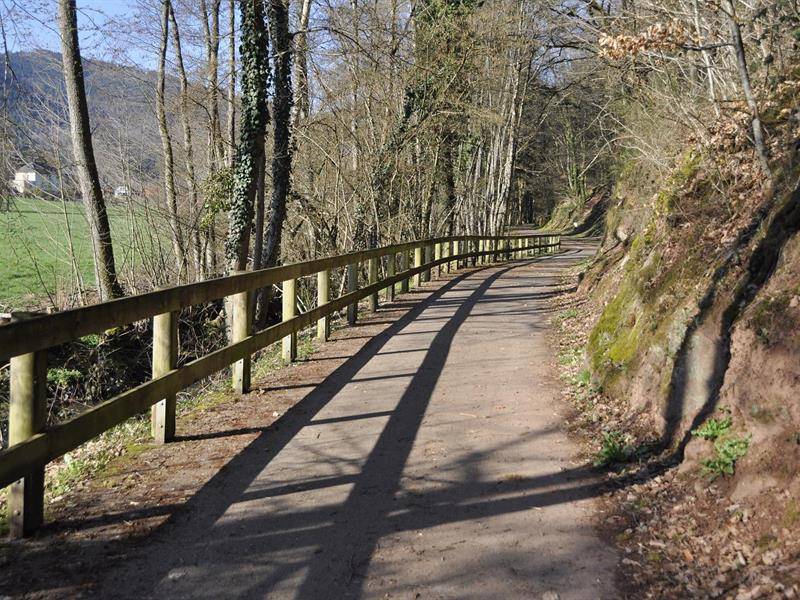 Randonnée : Randonnée - Les alentours de Bassemberg