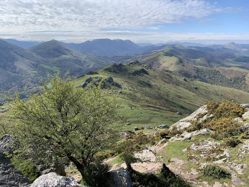 Randonnée : Circuit de la montagne - Trail