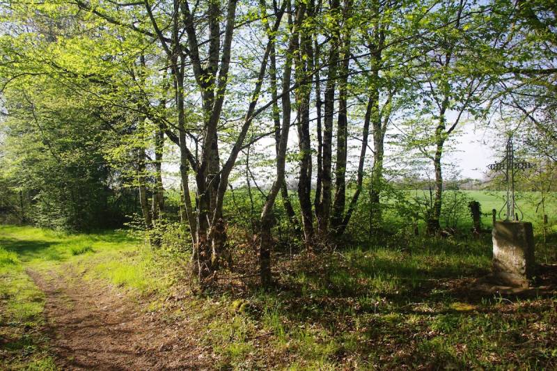 Randonnée : GRP®Monts et Barrages en Limousin - Etape 8 - De Saint-Méard à Saint-Paul