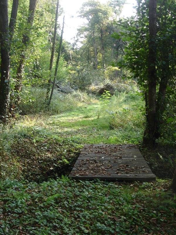 Randonnée : A Castelnau Chalosse, circuit de la plaine du Luy