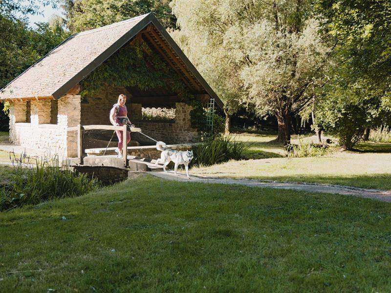 Randonnée : Circuit du Lavoir