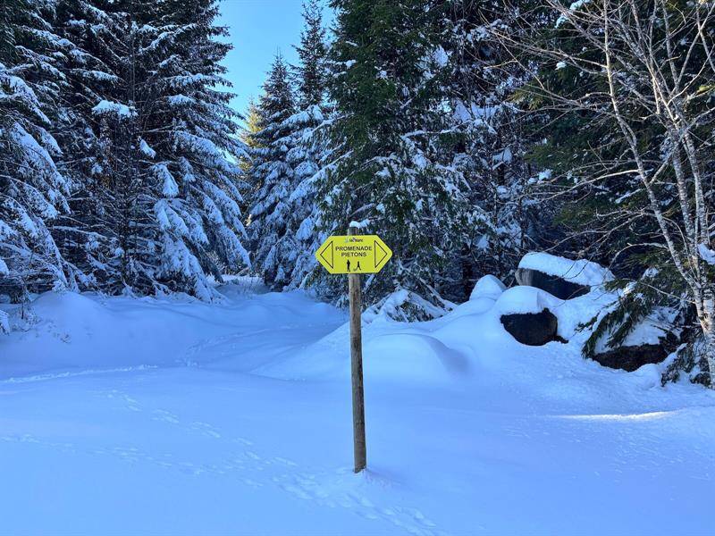 Randonnée : Circuit piéton - du Col du Calvaire à la digue du Lac Blanc