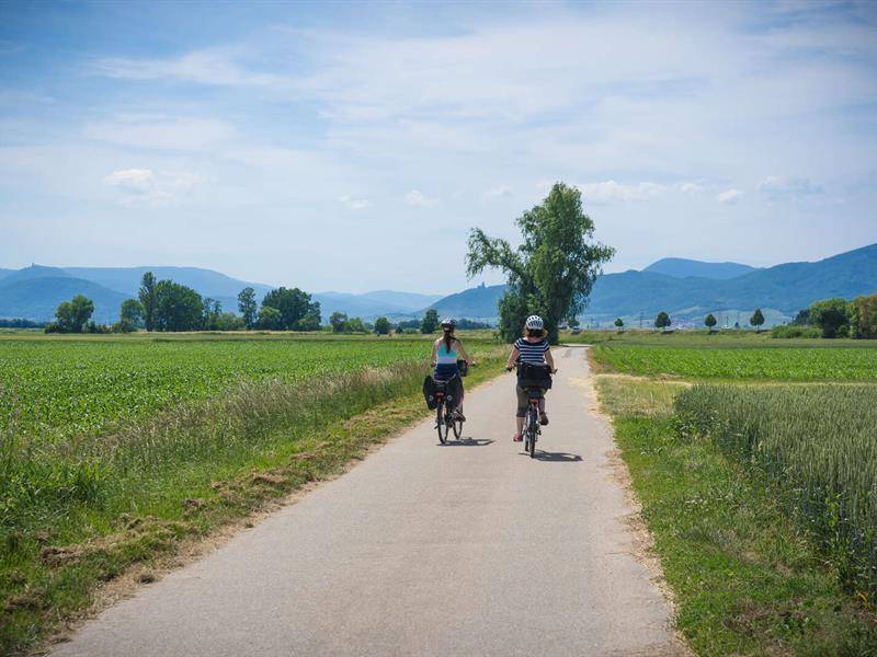 Randonnée : Piste cyclable - Cosswiller / Romanswiller