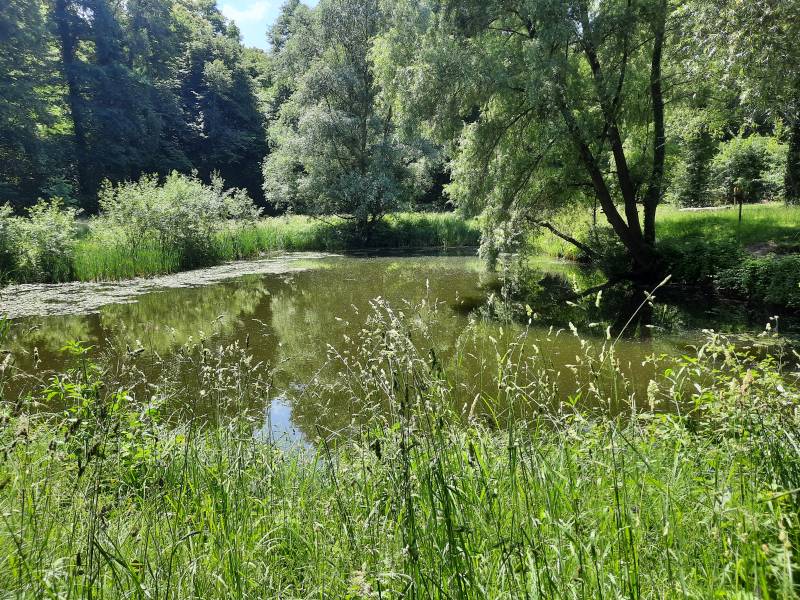 Randonnée : Le sentier de la biodiversité