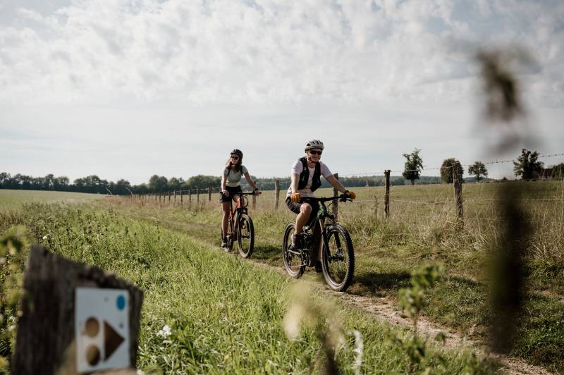 Randonnée : LE PIN  : le Plateau de Moyaux - 15 km D 38 m