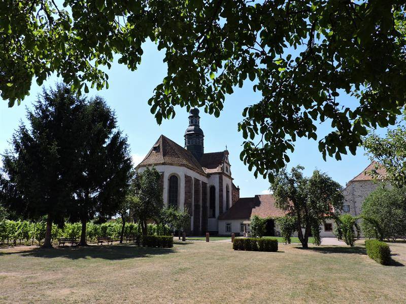 Randonnée : Circuit vélo Découverte des villages de plaine