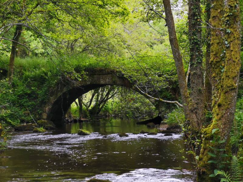 Randonnée : Boucle Locale N°52 Sardent et la vallée de la Gosne