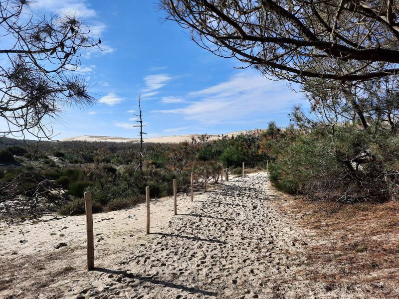 Randonnée : Sentier de la Linaire - Réserve Naturelle de Hourtin