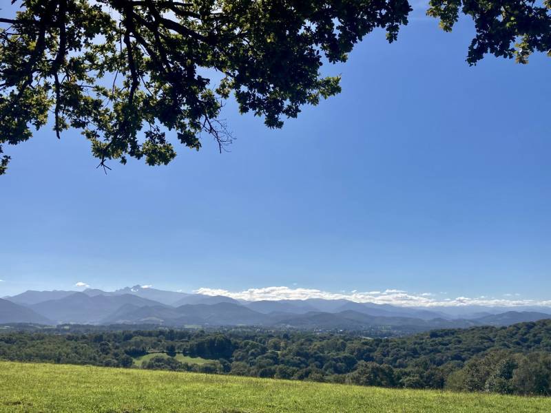 Randonnée : N°80 Les Marlères