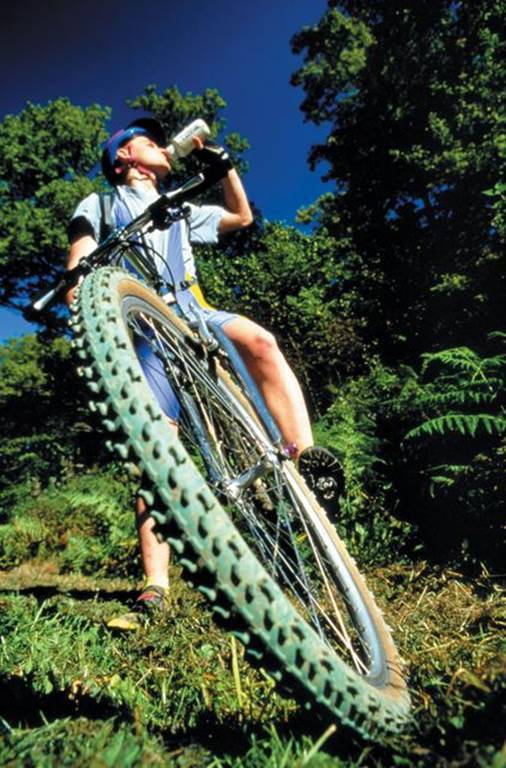 Randonnée : Site VTT du Pays Sedanais