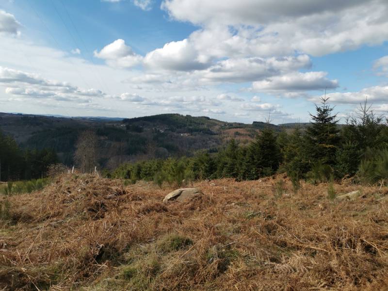 Randonnée : Circuit Pédestre N°57 : "Le Puy de Pétru"