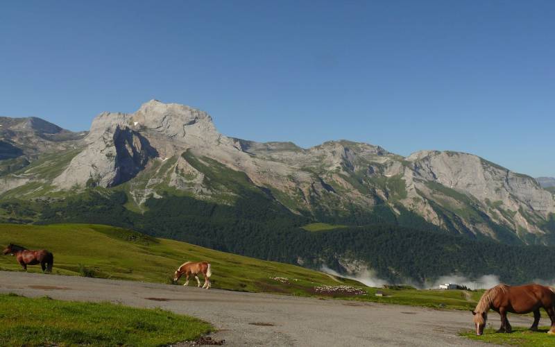 Randonnée : La descente Col d'Aubisque/Louvie-Soubiron