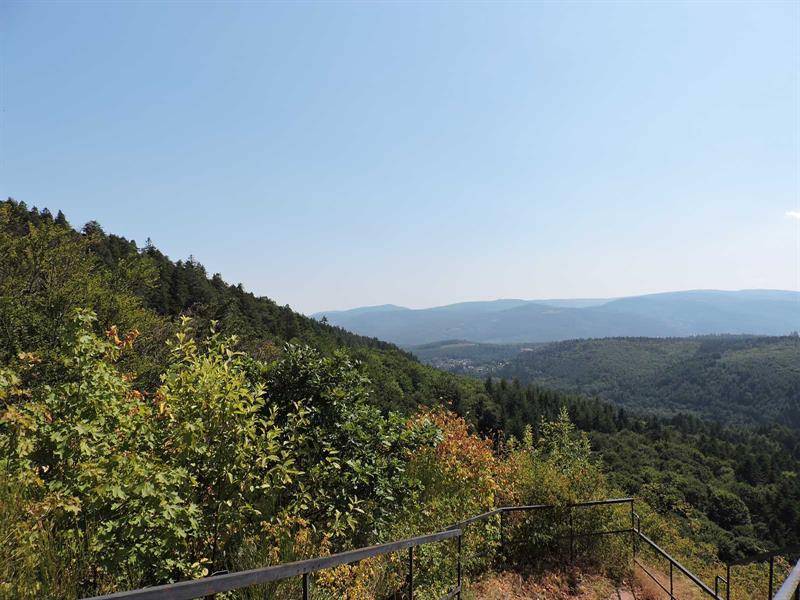 Randonnée : Randonnée Les ruines du Hohenstein