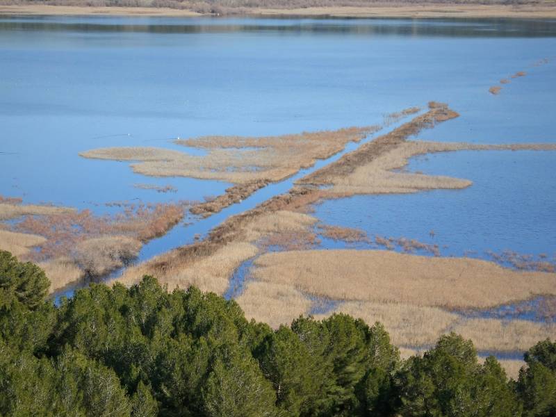 Randonnée : Forêt de Castillon - Etangs de Pourra et d'Engrenier