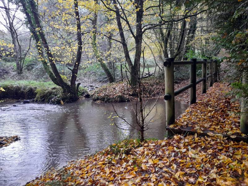 Randonnée : A la découverte de Beyssenac