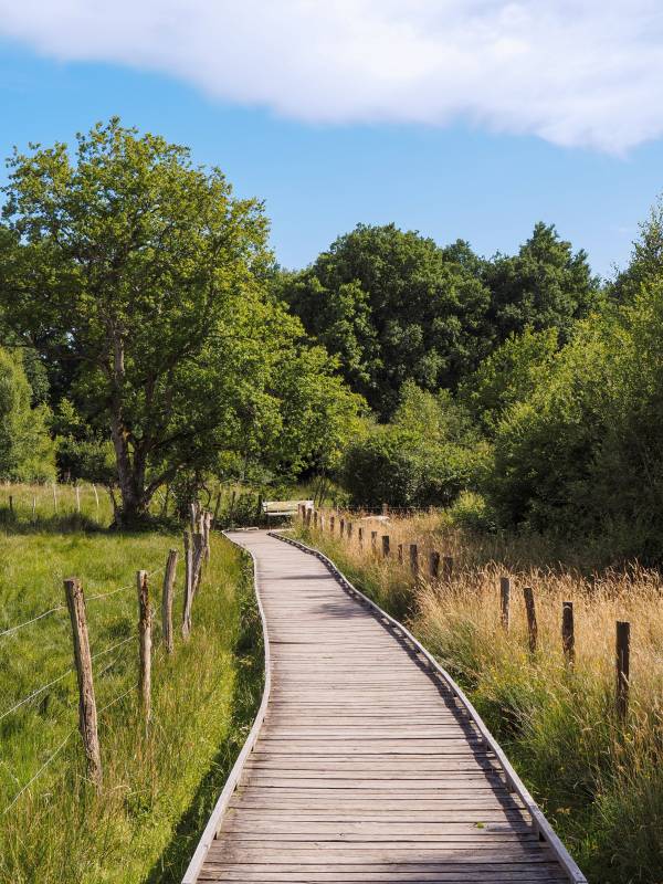 Randonnée : Domaine départemental des Grands-près