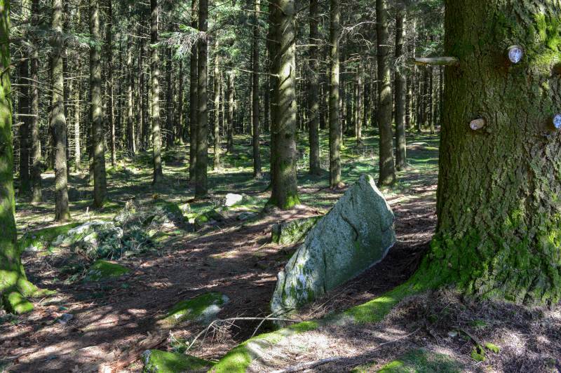 Randonnée : Circuit Trail n°5 : les rochers de Chabrières