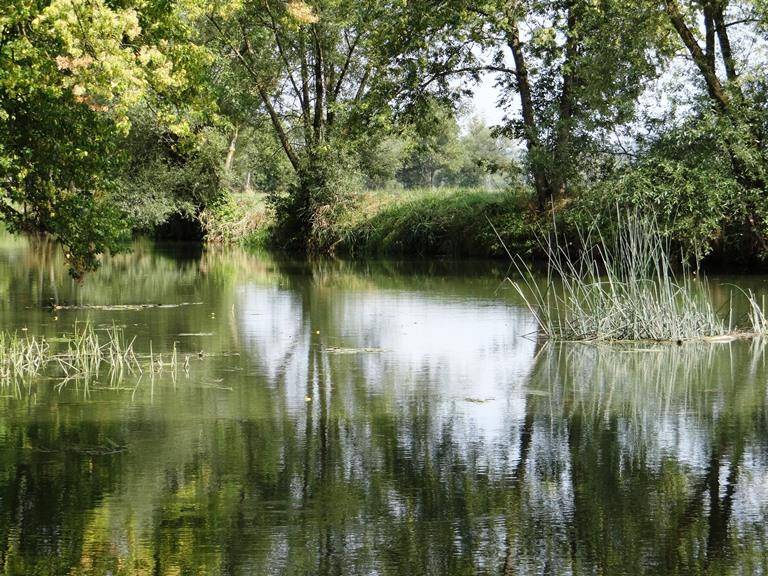 Randonnée : Circuit Nied sans frontière