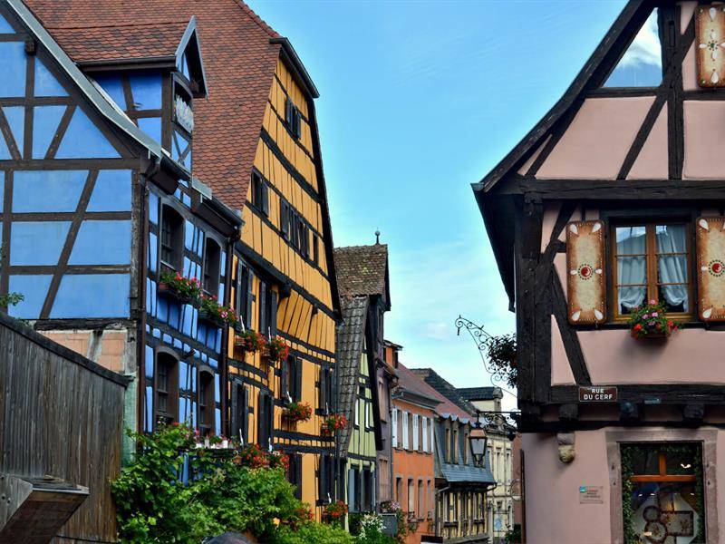 Randonnée : Circuit rando - de Kientzheim à Riquewihr par le chêne de la Chapelle