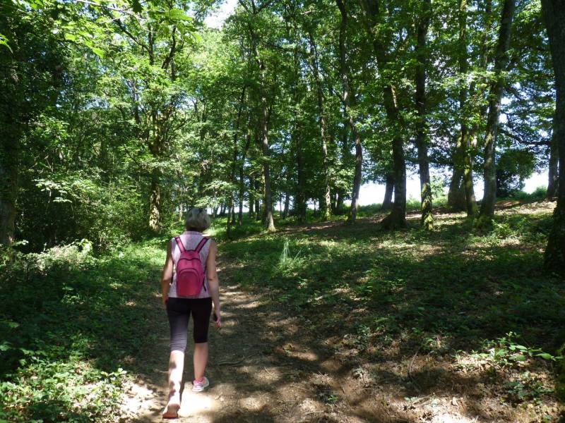 Randonnée : Le bois de Sauvagnon à VTT