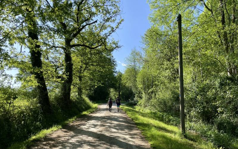 Randonnée : N°86 Richette
