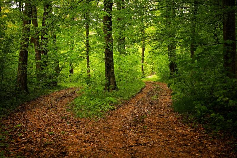Randonnée : Circuit de randonnée : la Vallée de la Tardes