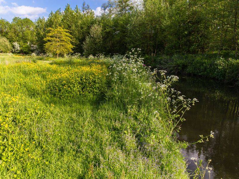 Randonnée : Sentier nature de la vallée de l'Aure
