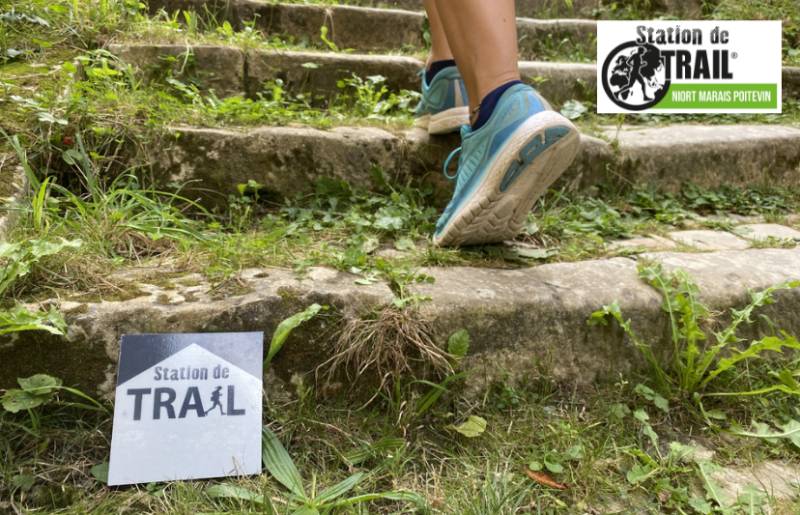 Randonnée : De St Martin à Prahecq par les crêtes - Station de Trail