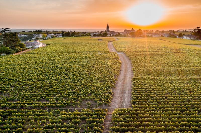 Randonnée : Iconiques à vélo : L'église monolithe de Saint-Emilion