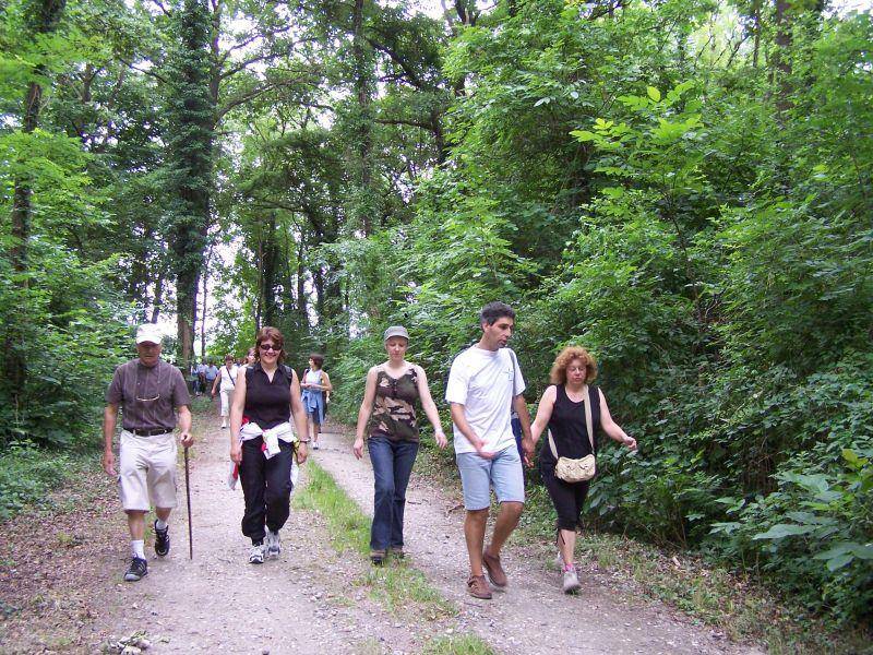 Randonnée : Sentier pédestre : Circuit du Nierderwald