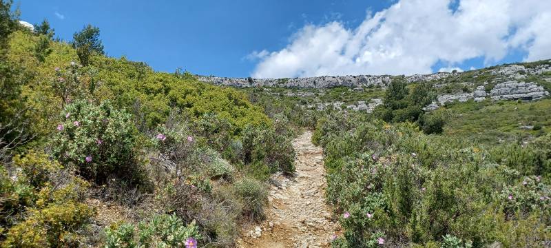 Randonnée : Les sources de Garlaban