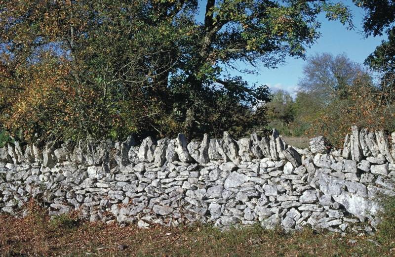Randonnée : Entre Géologie et Préhistoire