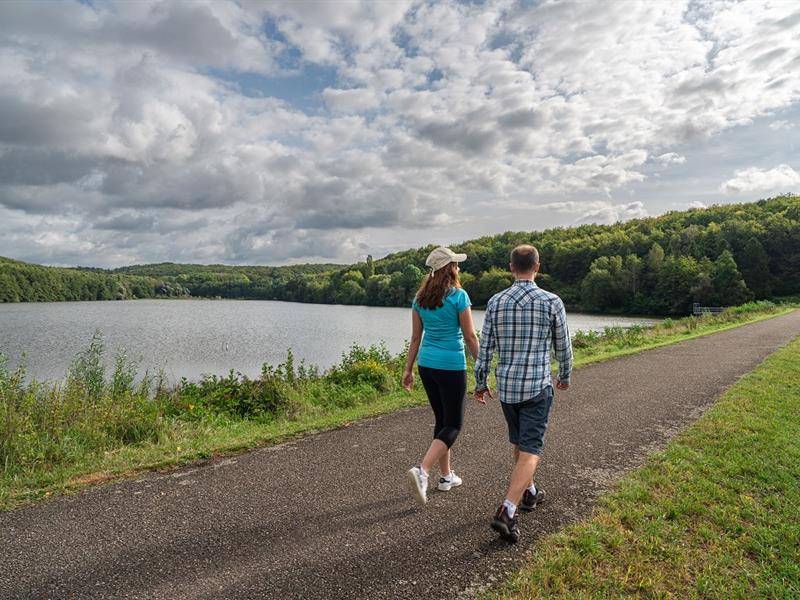 Randonnée : Circuit de randonnée du cimetière militaire au plan d'eau de Reichshoffen