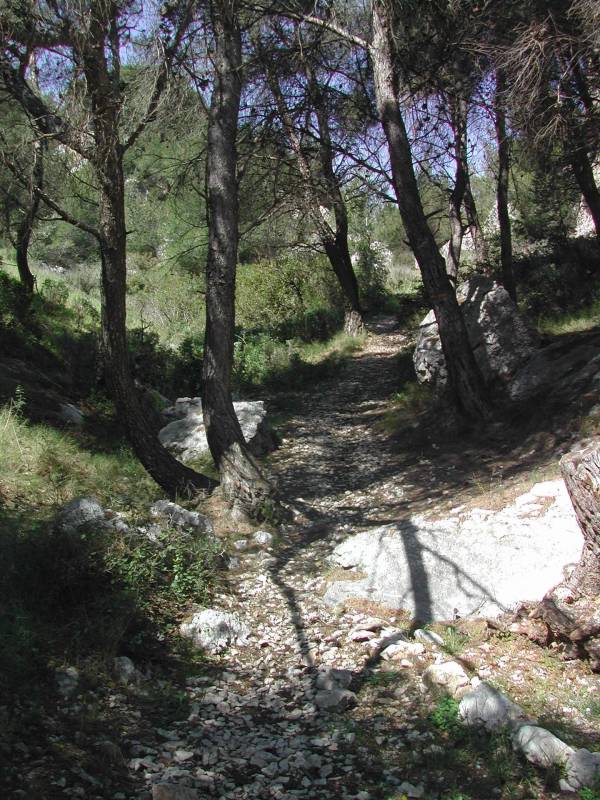 Randonnée : Sentier de découverte : De la font aux pigeons au puits de barbe