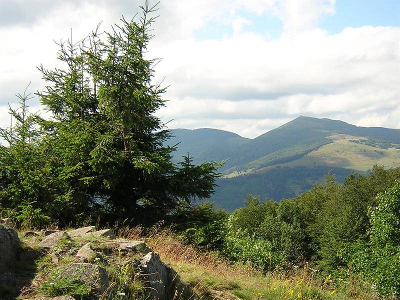 Randonnée : Randonnée : le tour du Molkenrain par camp turenne