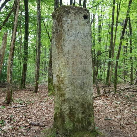 Randonnée : Chemins des Assemblées du Désert