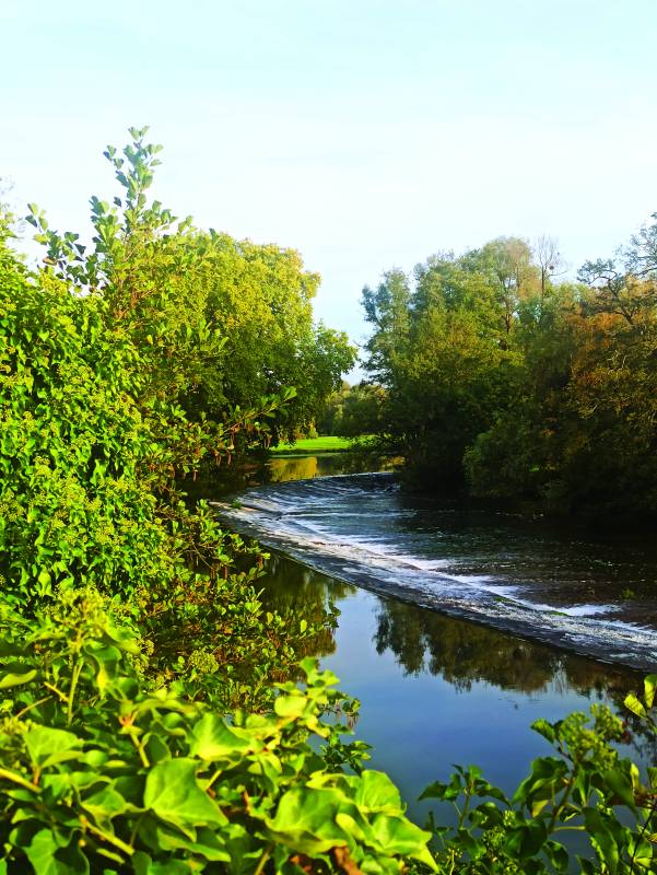 Randonnée : Entre Forges et Châteaux 17,2 km