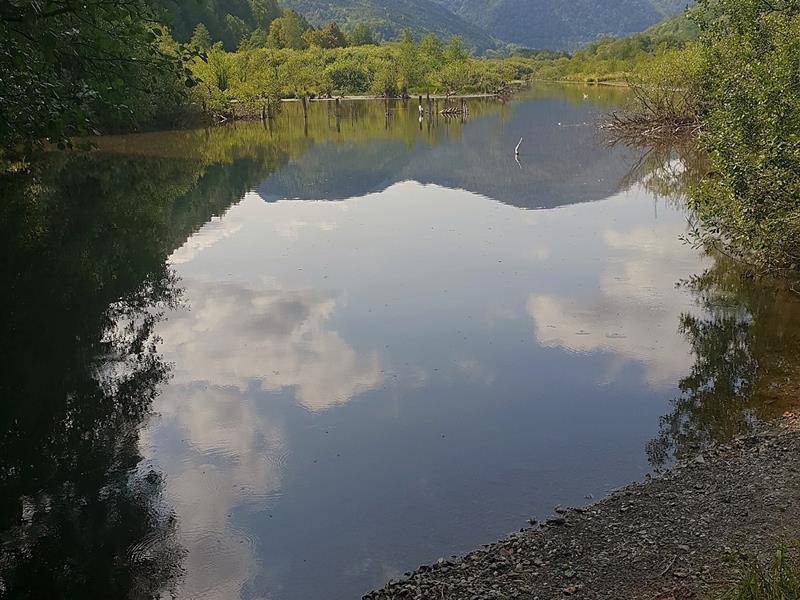 Randonnée : ECOBALADE - Autour de la tourbière du See