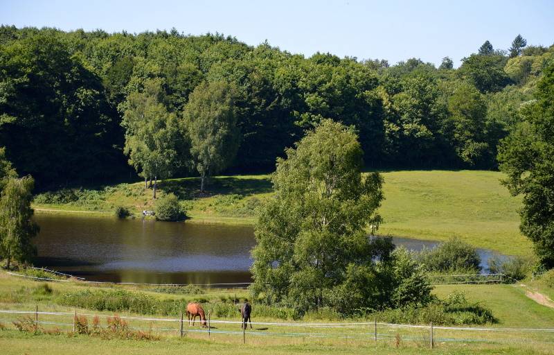 Randonnée : Base VTT FFC des Monts du Limousin - Circuit 3 Puy du Fros