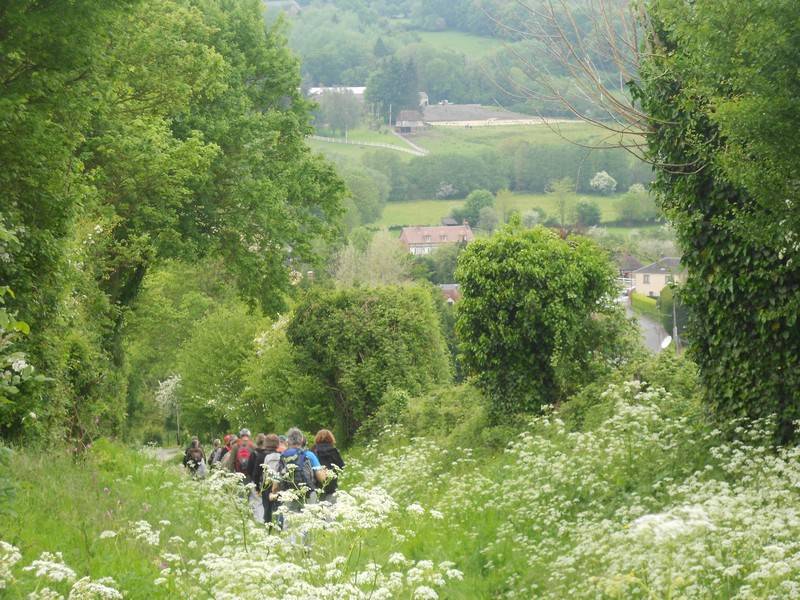 Randonnée : LE-MESNIL-MAUGER : Les Trois clochers - 7,8KM