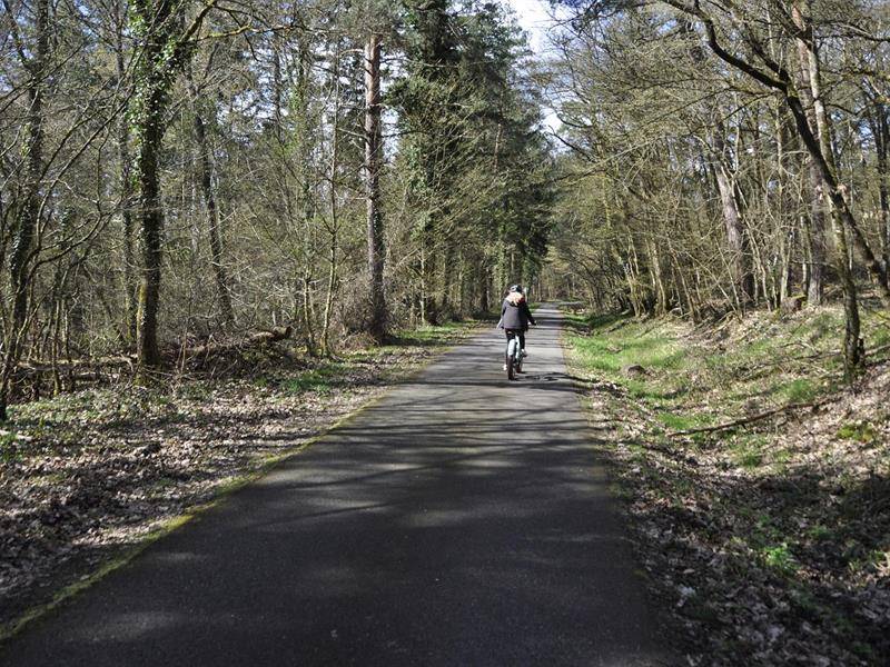Randonnée : Piste cyclable transfrontalière Villé-Elzach