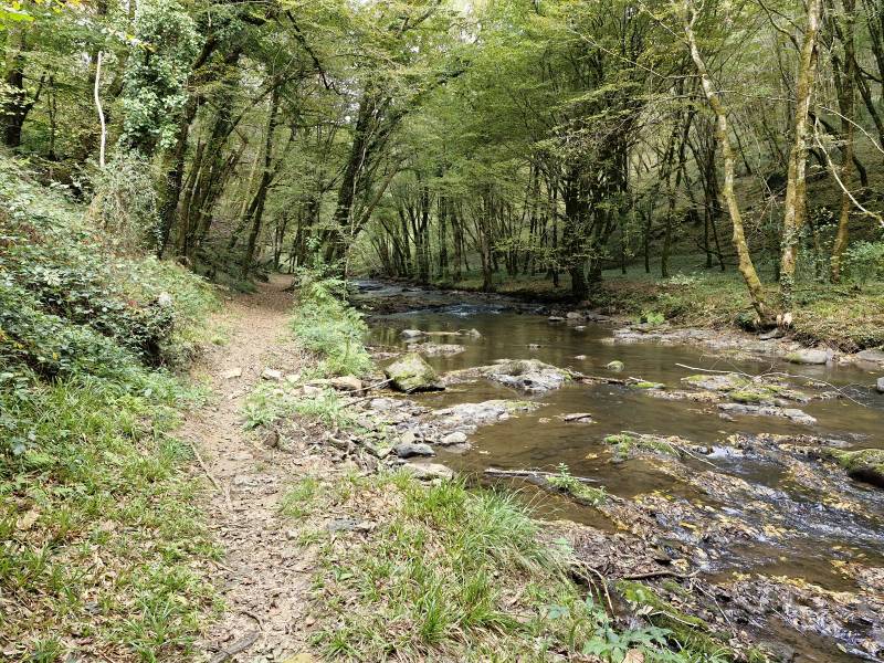Randonnée : Chemin des Vitraux