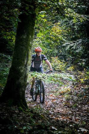Randonnée : Circuit VTT n°79 : circuit des forts