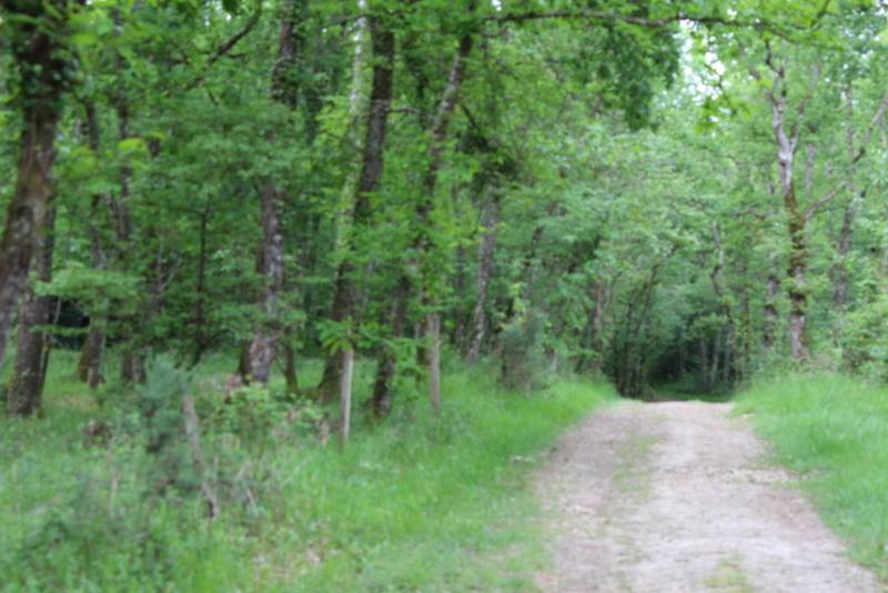 Randonnée : Boucle locale de Cayfas à Listrac-de-Durèze