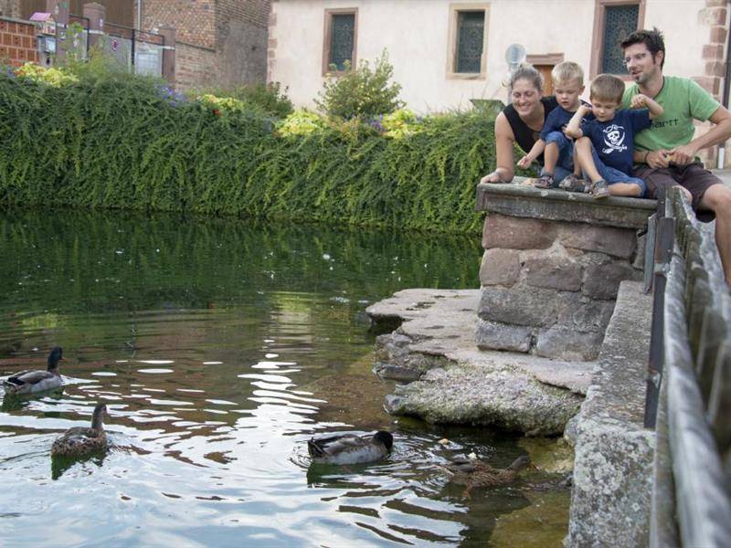 Randonnée : Sentier : la goutte d'eau de la Souffel