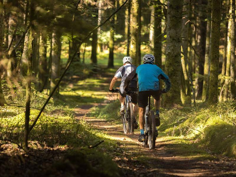 Randonnée : VTT n°1 - La Vall'Tout